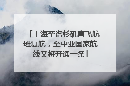 上海至洛杉矶直飞航班复航，至中亚国家航线又将开通一条