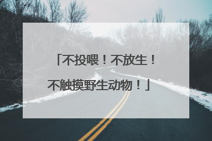 不投喂！不放生！不触摸野生动物！