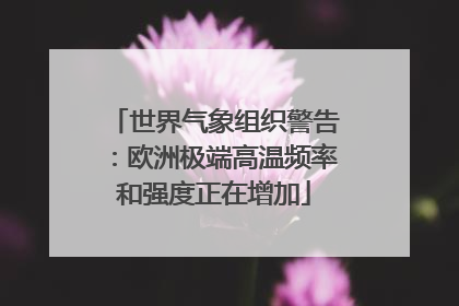 世界气象组织警告：欧洲极端高温频率和强度正在增加