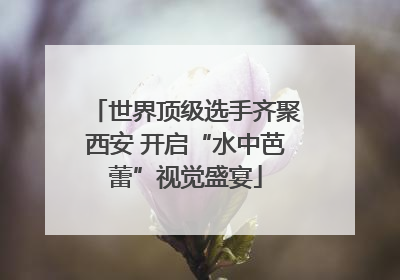 世界顶级选手齐聚西安 开启“水中芭蕾”视觉盛宴