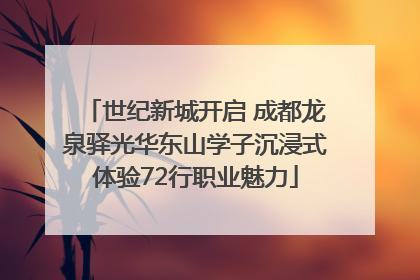世纪新城开启 成都龙泉驿光华东山学子沉浸式体验72行职业魅力