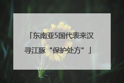 东南亚5国代表来汉寻江豚“保护处方”