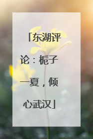 东湖评论：栀子一夏，倾心武汉