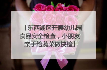 东西湖区开展幼儿园食品安全检查，小朋友亲手给蔬菜做快检