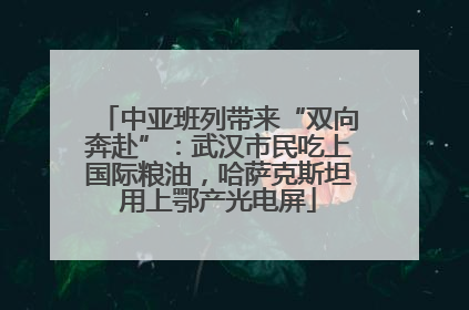 中亚班列带来“双向奔赴”：武汉市民吃上国际粮油，哈萨克斯坦用上鄂产光电屏