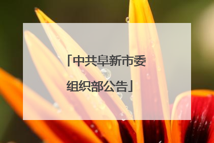 中共阜新市委组织部公告