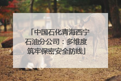 中国石化青海西宁石油分公司：多维度筑牢保密安全防线