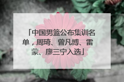 中国男篮公布集训名单，周琦、曾凡博、雷蒙、廖三宁入选