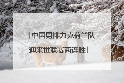 中国男排力克荷兰队 迎来世联赛两连胜