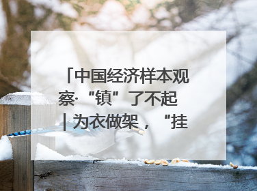 中国经济样本观察·“镇”了不起｜为衣做架，“挂”出来的80亿元“衣架产业”