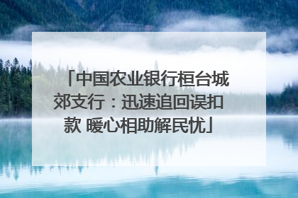 中国农业银行桓台城郊支行：迅速追回误扣款 暖心相助解民忧