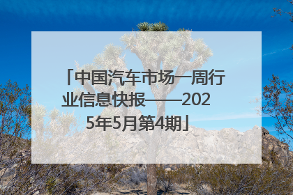 中国汽车市场一周行业信息快报——2025年5月第4期