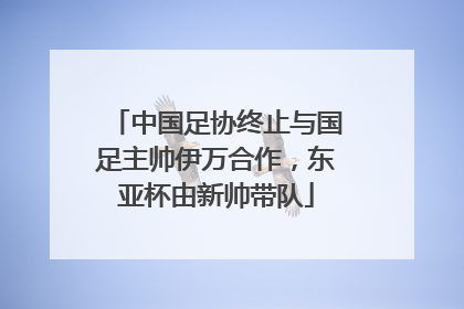 中国足协终止与国足主帅伊万合作，东亚杯由新帅带队