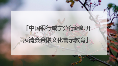 中国银行咸宁分行组织开展清廉金融文化警示教育