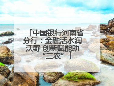 中国银行河南省分行：金融活水润沃野 创新赋能助“三农”