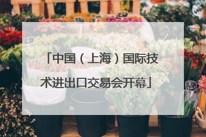 中国（上海）国际技术进出口交易会开幕