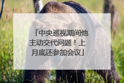 中央巡视期间他主动交代问题！上月底还参加会议