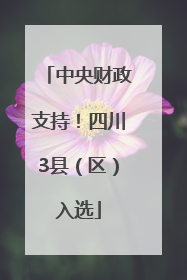 中央财政支持！四川3县（区）入选