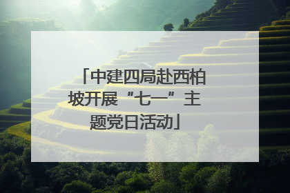 中建四局赴西柏坡开展“七一”主题党日活动