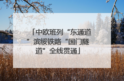 中欧班列“东通道”滨绥铁路“国门隧道”全线贯通