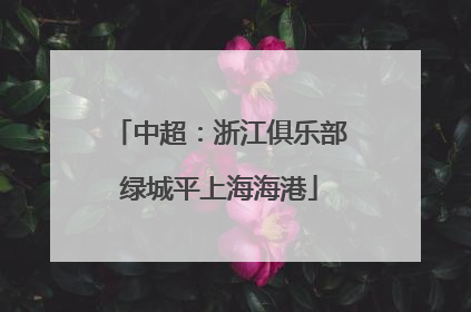 中超：浙江俱乐部绿城平上海海港