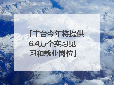 丰台今年将提供6.4万个实习见习和就业岗位