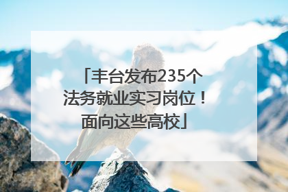 丰台发布235个法务就业实习岗位！面向这些高校
