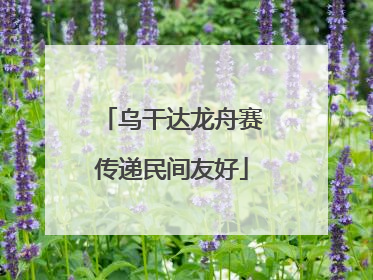 乌干达龙舟赛传递民间友好