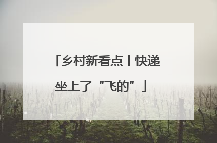 乡村新看点丨快递坐上了“飞的”