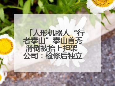 人形机器人“行者泰山”泰山首秀滑倒被抬上担架 公司：检修后独立下山 测试就是为暴露问题