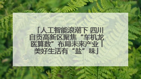 人工智能浪潮下 四川自贡高新区聚焦“车机龙医算数”布局未来产业丨美好生活有“盐”味
