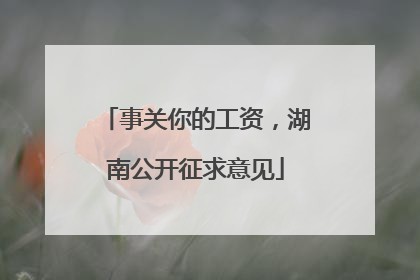 事关你的工资，湖南公开征求意见