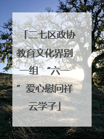 二七区政协教育文化界别一组 “六一”爱心慰问祥云学子