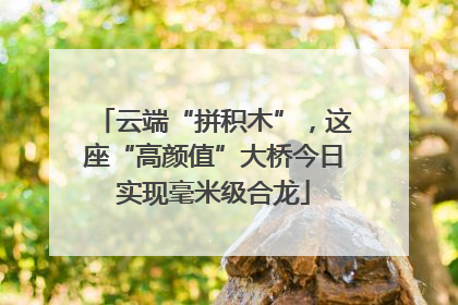 云端“拼积木”，这座“高颜值”大桥今日实现毫米级合龙
