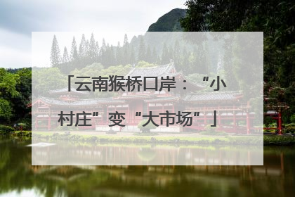 云南猴桥口岸：“小村庄”变“大市场”