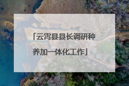 云霄县县长调研种养加一体化工作