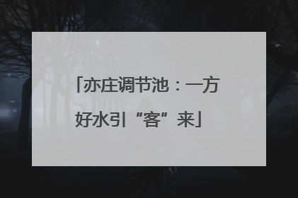 亦庄调节池：一方好水引“客”来