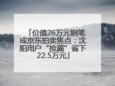 价值26万元钢笔成京东拍卖焦点：沈阳用户“捡漏”省下22.5万元