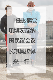任振鹤会见博茨瓦纳国民议会议长凯奥拉佩采一行