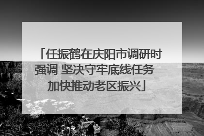 任振鹤在庆阳市调研时强调 坚决守牢底线任务 加快推动老区振兴