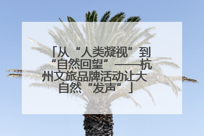 从“人类凝视”到“自然回望”——杭州文旅品牌活动让大自然“发声”