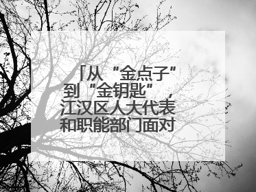 从“金点子”到“金钥匙”，江汉区人大代表和职能部门面对面解企业难题