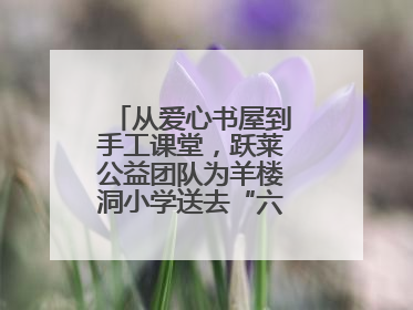 从爱心书屋到手工课堂，跃莱公益团队为羊楼洞小学送去“六一”特别礼物