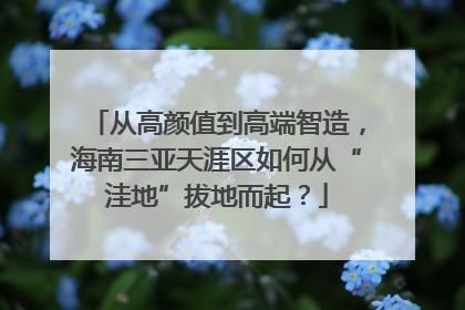 从高颜值到高端智造，海南三亚天涯区如何从“洼地”拔地而起？
