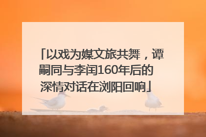 以戏为媒文旅共舞，谭嗣同与李闰160年后的深情对话在浏阳回响