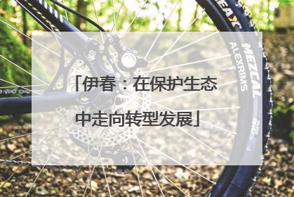 伊春：在保护生态中走向转型发展