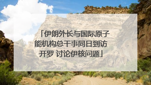 伊朗外长与国际原子能机构总干事同日到访开罗 讨论伊核问题