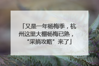 又是一年杨梅季，杭州这里大棚杨梅已熟，“采摘攻略”来了