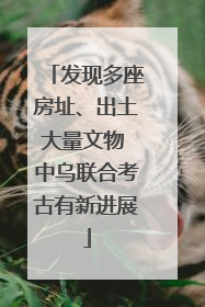 发现多座房址、出土大量文物 中乌联合考古有新进展
