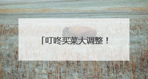 叮咚买菜大调整！改组10个独立事业部，计划在5月完成App端全面改版